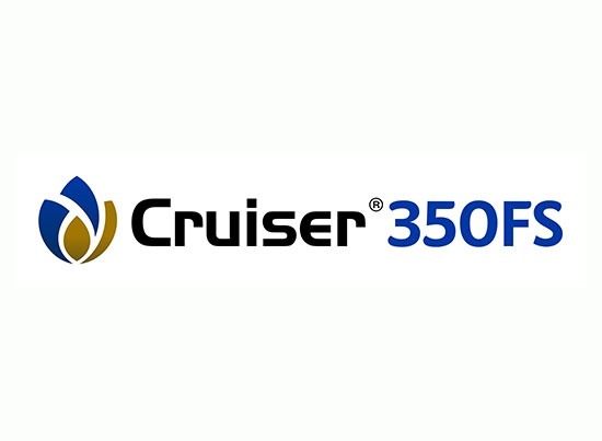 Cruiser 350 FS  - 0